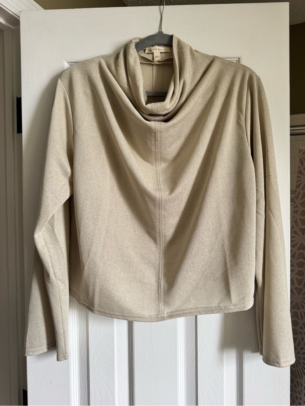 Boutique Cowl Neck Women's Sheer Cropped Top